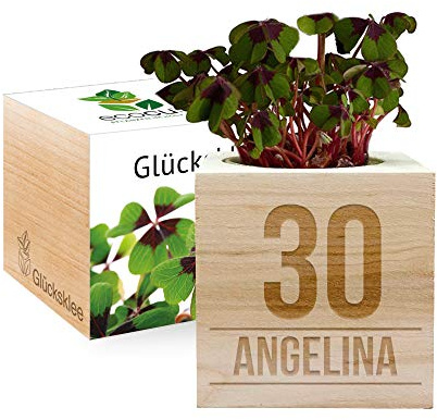 Gravierter EcoCube Geburtstag (Glücksklee)