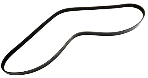 General Motors 55578115, Serpentine Belt