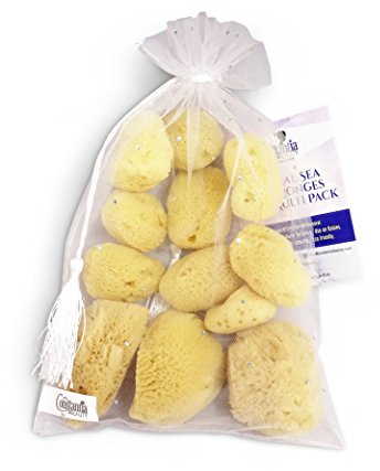 Natural Sea Silk Sponges 12pk: Size 1.5-3 Like Cotton Balls, for Cosmetic Use, Makeup Application & Removal, Face & Eye Cleaning, with Luxury Gift Bag by Constantia Beauty