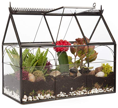 Deco Serre géométrique en Verre pour Terrarium, Plantes succulentes et Plantes aériennes – Serre (25 x 12 x 21 cm)