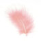 Marabou Feathers 20 Per Pack, 10-15 cm, Fluffy & Soft, 26 Colours (Pale Pink - 20 Pack)