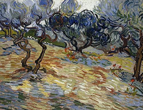 ZHAOSHAN Berühmte Gemälde Leinwand drucken Ölgemälde Wandbilder Olivenbäume von vincent van gogh Abstraktes Foto Bild für Wanddekoration 60x90cm