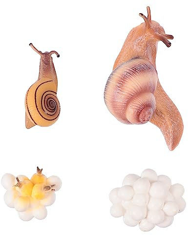 IMIKEYA Ensemble de Modèles d'animaux Simulés Jouets Éducatifs Figurines Animales Décorations de Jardin Accessoires Photo 10 Pièces