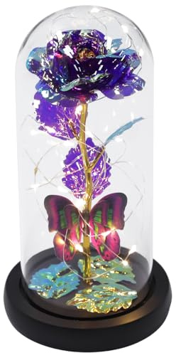 VICASKY Rose Éternelle sous Cloche Verre Fleur Immortelle Décoration Cadeau Anniversaire Mariage