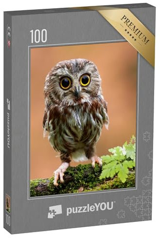 puzzleYOU: Puzzle 100 Teile „Das niedliche einsame Eulenbaby“ – aus der Puzzle-Kollektion Eulen, Vögel, Exotische Tiere & Trend-Tiere