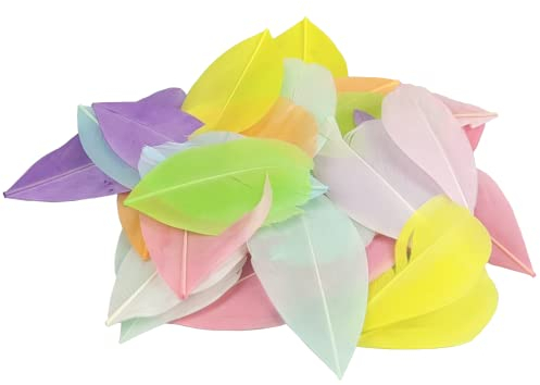 Netuno 50 Stück Deko-Federn farbig sortiert Pastellfarben 4-8 cm Vogelfedern bunt Bastelfedern für DIY-Ostereier Dekorieren Weihnachten Hochzeit Geburtstag Party Masken Schmuck Dekofiguren
