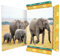 RNKVERLAG 45377 - Zeichenmappe Elefant 310 x 440 mm, Dokumentenmappe für DIN A3, mit Gummizugverschluss, 1 Stück