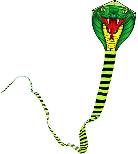 Touch the sky 8m Long Snake Kite for Kids and Adults, Easy to Fly, Exquisite Fabrics and Unique Structure Design, Excellent Outdoor Games and Activity Toys, Suitable for Beginners.