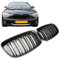 GCP PASST FÜR 1ER F20 F21 BIS 01/2015 SPORT KÜHLERGRILL DOPPELSTEG GRILL MATT SCHWARZ