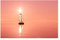 Fabulous Poster Plakat Rosa Sonnenuntergang Auf Dem Boot Segel(91cmx138cm)