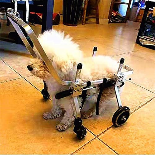 BTAISYDE Hunde-Haustier-Rollstuhl Hunderollstuhl,Rückenstützrollstuhl,Für Haustier/Katze Hunderollstuhl Hinterbeinrehabilitation Für Behinderte Hunde,XL