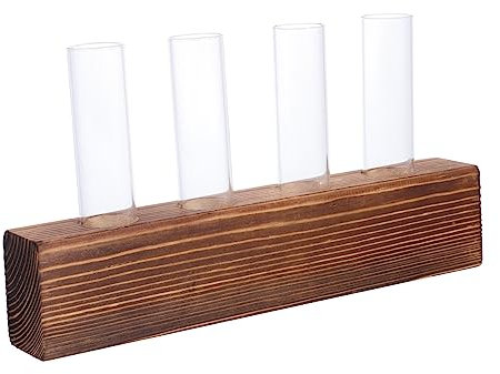 GRIRIW Glas Vasen Mit Holz Ständer Für Hydroponische Pflanzen Tischplatte Glas Und Holz Pflanzer Für Indoor Dekoration Blumenzwiebel Vase Und Terrarium