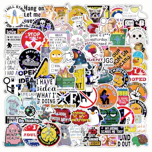 Funny Meme Sticker Pack, Sarcastic Waterproof Decals for Water Bottles, Laptops, Bumper, Adult Humour Stickers for Adult Teens Girls