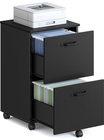 VASAGLE 2-Drawer File Cabinet, Small Rolling Filing Cabinet for Home Office, Printer Stand, for A4, Letter-Size Documents, 15.7 x 16.5 x 27.6 Inches, Ink Black UOFC040B16