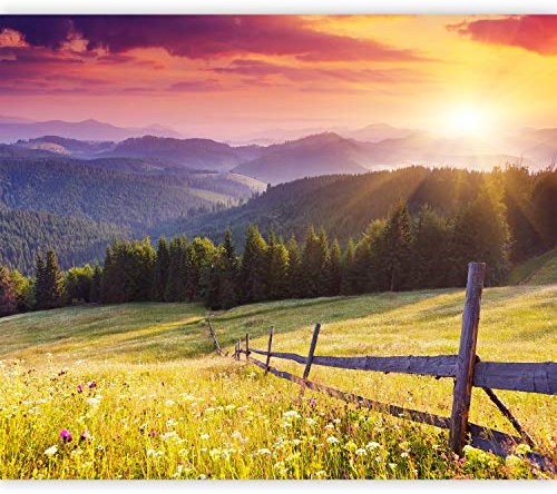 murando PREMIUM Fotomurales Paisaje Montanas 400x280 cm Papel pintado tejido no tejido Decoración de Pared decorativos Murales moderna de Diseno Fotográfico Oficina Pasillo - Naturaleza c-B-0538-a-a