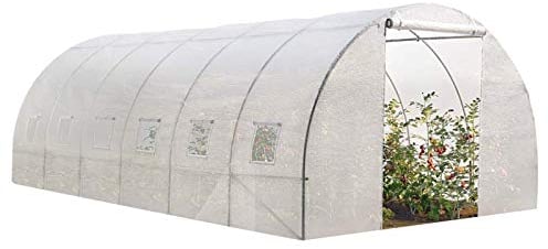 Probache Pro - Invernadero grande de jardín, diseño de túnel, transparente, 18 m², 7 arcadas, galvanizado, 6 x 3 x 2 m