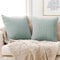 Deconovo Kissenbezug Kordsamt Kissenhülle Wohnzimmer Zierkissenbezug Kissenbezüge Dekorativen Kissenhüllen Weiches Sofakissen für Sofa Büro Couch Schlafzimmer Dekokissen, 50x50 cm, Hellgrün, 2er Set
