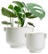 Olly & Rose Cotswolds - Set di vasi in ceramica con manici, per interni ed esterni, finitura lucida bianca invecchiata