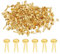 PATIKIL 200 Stück Musterbeutelklammern 5 x 9 mm Mini Brads Metall Rundkopfklammern Briefklammern Musterklammern Scrapbooking für Kunst Basteln Handwerk DIY-Projekte PapierGold