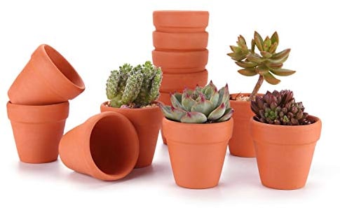 T4U 12pcs Pots de Fleurs Rouge Intérieur Extérieur 5 cm, Mini Pot en Terre Cuite de la Famille des Cactus pour Décoration Horticole Mariage, Maison, Jardin et Chambre