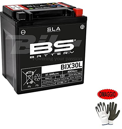 KOMPATIBEL MIT HARLEY DAVIDSON FLHRCI Road King Classic F/I 1450 2000-2021 Gebrauchsfertige Batterie BS BIX30L SLA geladene Batterien 30 Ah Ampere 12 Volt 165 x 125 x 175 mm