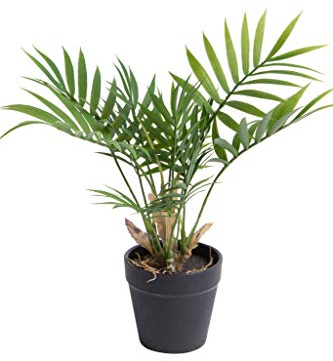 Kunstpflanze (Palme, Ficus, Schefflera, Akuba, Croton) Höhe ca. 30 cm im schwarzen Kunststofftopf (Chamaedorea Palme grün)