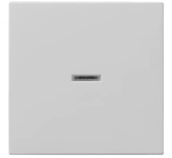 Wippe Kontrollfenster grau 0290015 4010337079996 Gira