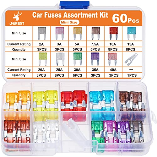 JOREST 60Pcs Fusible Voiture Set - pour Fusibles Auto/Truck/RV/Camion/Moto (2A 3A 5A 7.5A 10A 15A 20A 25A 30A 35A 40A) - Mini Fusibles Automobile + 1 Extracteur