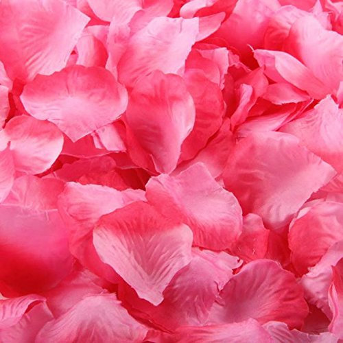 shuaiguo Pétales Soie décor Rose 1000 pièces faveurs Fleur Mariage Rose fête Artificielle décor à la Maison Fleurs artificielles for l'extérieur Fleurs séchées (Color : Hot Pink, Size : One Size)