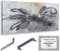 Monica Mirafiori I 100% HANDGEMALT I Gemälde Fusion 140x70cm | Gemälde Handgemalt | Acrylgemälde | Sehr Großes Acrylbild I Moderne Kunst I Kunstbilder