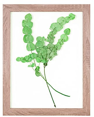 Rahmendesign24 Bilderrahmen Doppelglasrahmen Milano 40x50 Sonoma Eiche Fotorahmen, Wechselrahmen, Doppelglas