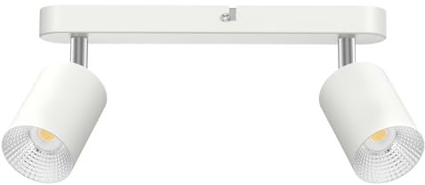 DEECOZY LED Deckenstrahler 4 Flammig Wohnzimmer-Deckenleuchte Modern Deckenlampe Flame LED Spotlight GU10 Deckenspot Schwenkbar 330°Drehbar Spot Strahler Lampe Edelstahl innen (2 Lampenhalterung)