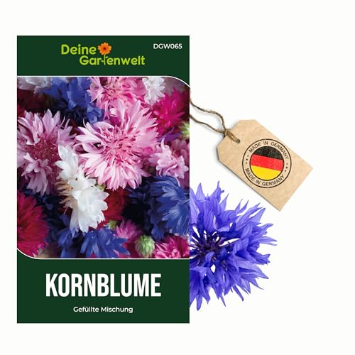 Kornblume Gefüllte Mischung Samen - Centaurea cyanus - Kornblumensamen - Blumensamen - Saatgut für 100 Pflanzen – 3er Pack