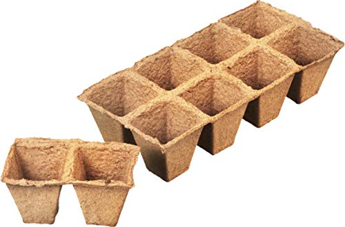 Connex FLOR79125 - Maceta Biodegradable para Invernadero