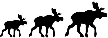 kleb-Drauf | 1 Elchfamilie | Schwarz - matt | Autoaufkleber Autosticker Decal Aufkleber Sticker | Auto Car Motorrad Fahrrad Roller Bike | Deko Tuning Stickerbomb Styling Wrapping