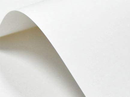 Netuno 100x Bastelkarton Weiß glatt DIN A4 21 x 29,7 cm 246g Elfenbeinkarton Ultraweiß strukturiertes Papier zum Bedrucken für Visitenkarten Einladungs-Karten Menükarten Urkunden Diplome