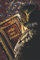 Journal for your Spells and Potions