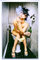DekoDrom® Blechschild 20x30 cm Pin up Girl raucht + trinkt auf Toilette WC Zigarette witzig Bar Schild