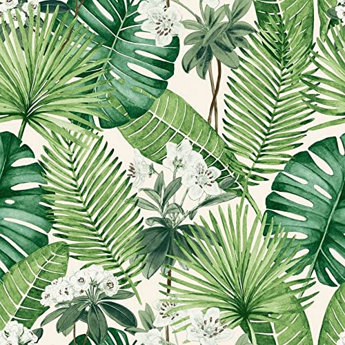 Muriva Eden Isla Tropical Leaf Plants Wallpaper Cream/Green M37814
