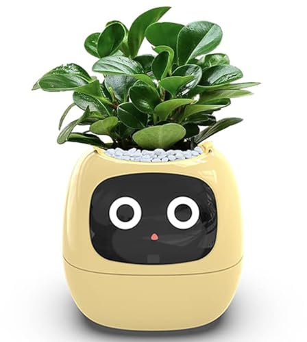 Pots de fleurs intelligents, pot de fleurs intelligent pour plantes d'intérieur, 49 expressions riches, 7 capteurs intelligents, puces AI, écran LCD, contrôle APP, jardinière intelligente pour la