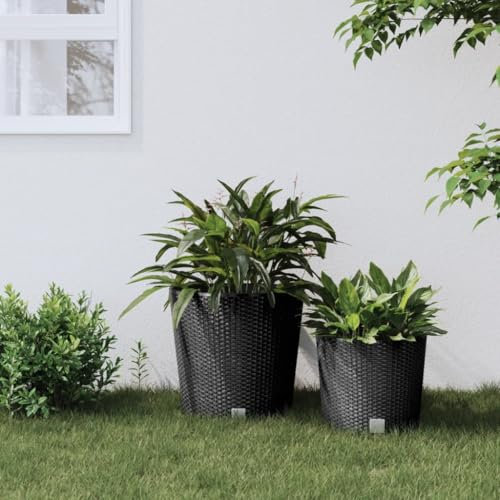 WIFESE Jardinière Surélevée Exterieur PP Anthracite 40x40x37,5 cm Intérieur en Plastique Amovible Bac Jardiniere Balcon Résistant aux Chocs Bac Potager Exterieur Espace Ample