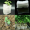 Lot de 100 pots de plantation biodégradables, excellente absorption de l'eau, faciles à utiliser (12 x 18 cm)