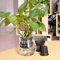 25 vasos de red de plástico para plantas de jardín, perfectas para clonación y aeroponía