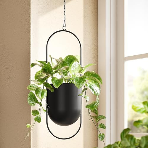 Bamworld Pots de Fleurs Suspendus pour Plantes d'intérieur et d'extérieur en métal de 14 cm avec chaîne pour décoration Murale de Jardin (Noir)