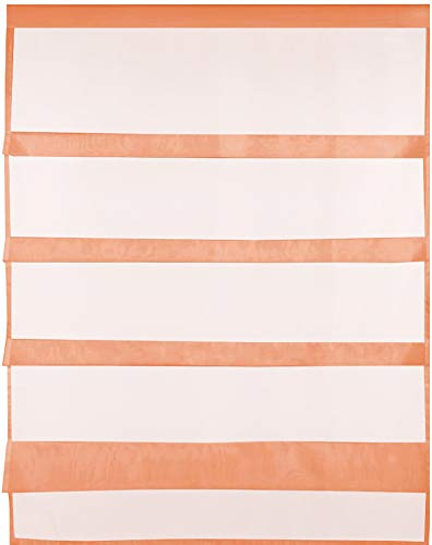 Transparente Bistrogardine Raffoptik mit Stangendurchzug in Voile, schlicht und modern in vielen erhältlich (100 x 110 cm/apricot - orange)