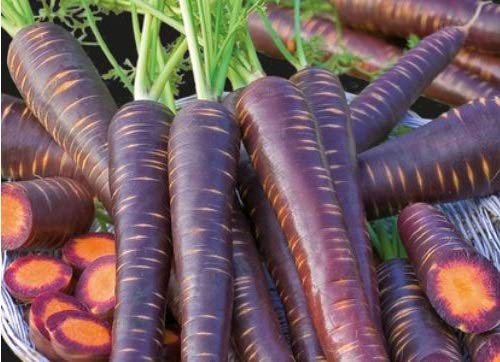 Pezzi - 35x Carota Betasweet Viola Elite F1 - Seme Verdure Pianta Giardino KS411 - Seeds & Plants Shop by Ipsa