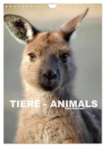 Tiere - Animals (Wandkalender 2026 DIN A4 hoch), CALVENDO Monatskalender: Tiere aus aller Welt wunderbar und hautnah fotografiert. (CALVENDO Tiere)