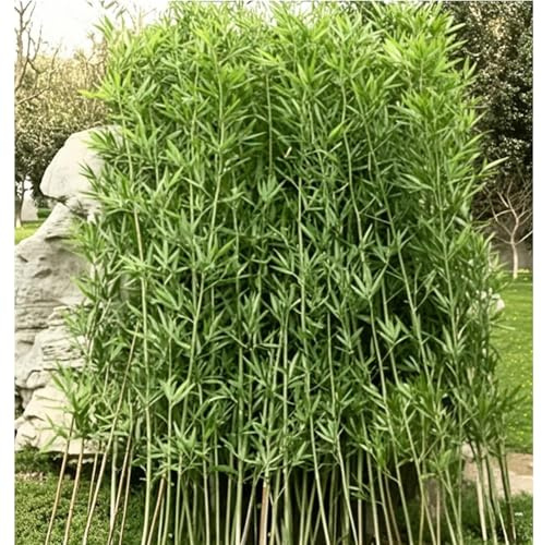 Grandes Plantes Bambou Artificielles Intérieur Extérieur Faux Arbre Bambou Soie Avec Feuilles DIY Décoration Écran Aménagement Paysager Jardinières Plastique Mur Intimité Clôture Terrasse(40 Bamboo,1.