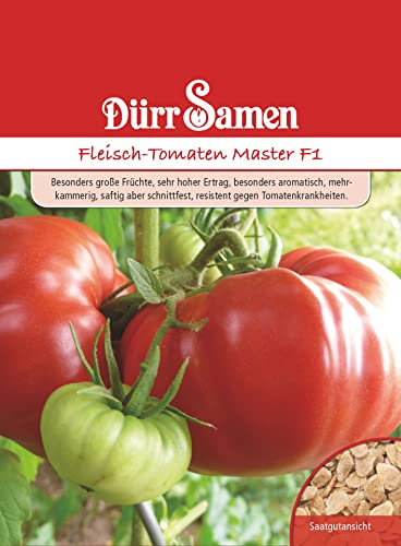 Fleischtomate Samen Master Rote Tomate Tomatensamen ca 25 Korn Saatgut Robust Ertragreich Garten Hochbeet Kübel Dürr Samen