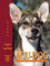 Acu-Dog: A Guide to Canine Acupressure (English Edition)